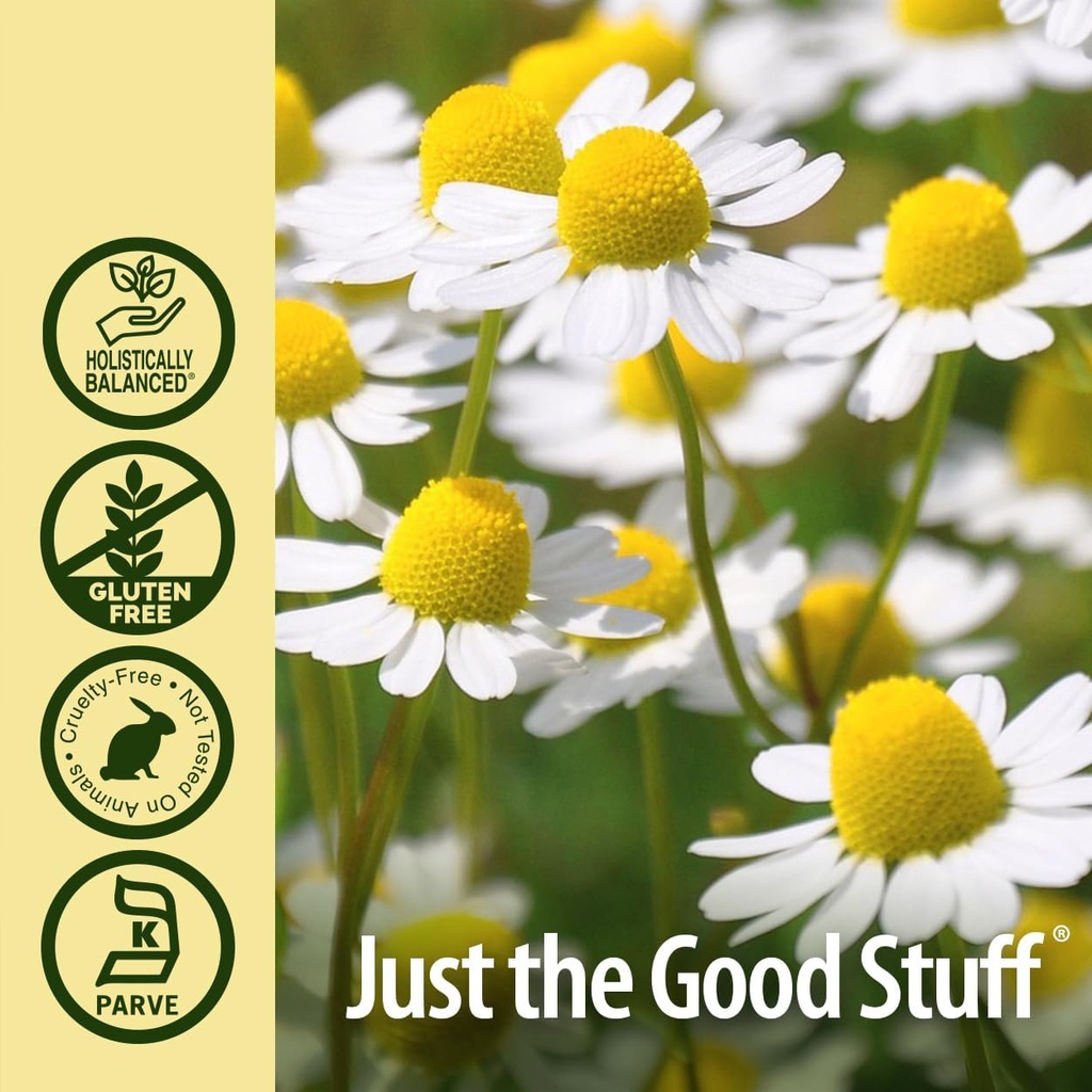 natures-answer-chamomile-flower-with-org-5.jpg