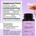 akkermansia-muciniphila-probiotic-prebio-4.jpg