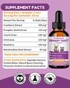 cat-dog-urinary-tract-infection-treatmen-2.jpg