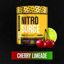 jacked-factory-nitrosurge-build-pre-work-3.jpg