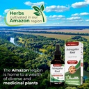 fito-medics-lab---astragalus-extract-pro-2.jpg