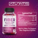 atlantis-nutrition-sugar-free-prebiotic--6.jpg