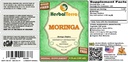 moringa-moringa-oleifera-glycerite-organ-2.jpg