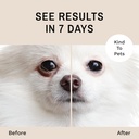 eye-envy-tear-stain-remover-powder-for-d-3.jpg