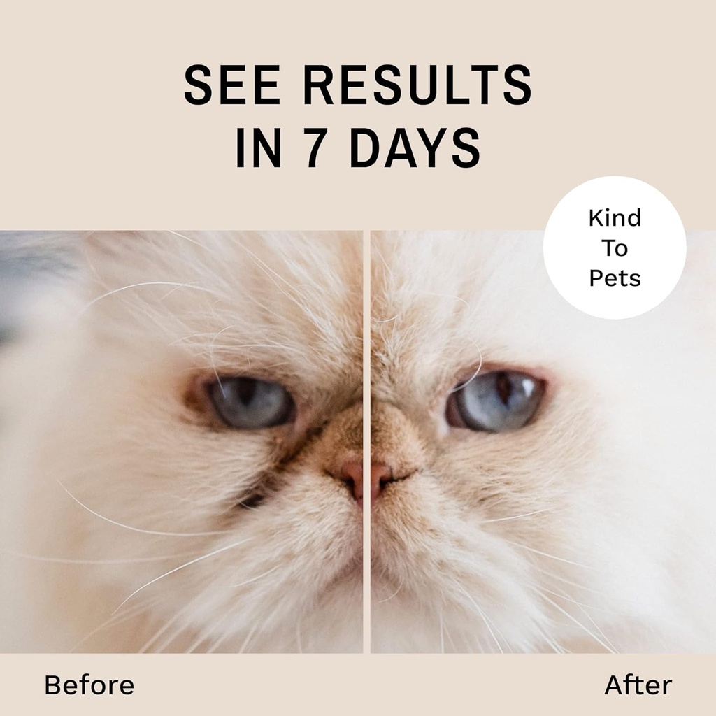 eye-envy-tear-stain-remover-powder-for-d-4.jpg
