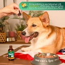 caniscattus-probiotics-for-cats-liquid-c-4.jpg