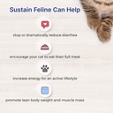 sustain-feline-recovery-food-for-cats-10-4.jpg