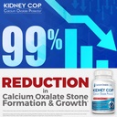 KIDNEY C.O.P. Calcium Oxalate Protector 120 Capsules, Kidney Support for Calcium Oxalate Crystals, Helps Stops Recurrence of Stones, Stronger Than Chanca Piedra Stone Breaker Supplements, 3 Pack 3