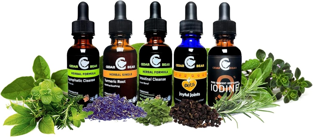 Cedar Bear Echinacea Super Immune Blend a Liquid Herbal Supplement That Boosts Your Immune System to Help Maintain White Blood Cell Activity and Other Immune Functions 1 Fl Oz 4