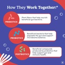 FIRST DAY 3 in 1 Probiotics for Men - Prebiotic, Probiotic & Postbiotic Supplement – Mens Probiotic for Digestive Health, Oral Health, Immune Function, Energy, Gut Health for Men – 30-Day Supply 5