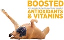 maxxipaws SAM-e UTI Bundle – maxxiSAMe Advanced SAM-e Support for Dogs & maxxiUtract Canine Urinary and Bladder Supplement 4