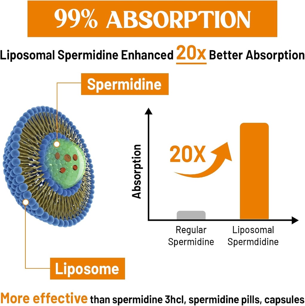 30mg Spermidine Supplement for Men & Women, High Absorption, More Potent Than Spermidine 3HCL - for Cellular Renewal, Longevity & Cognitive, Fermented Wheat Germ Extract, Pure & Natural, 180 Softgels 5