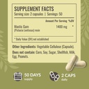 HERBAMAMA Mastic Gum Capsules 1400mg - Gut & Digestive Support with Mastic Gum Supplement - Vegan, Non-GMO Resin Digestion Capsules 4