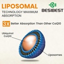 1000mg Liposomal CoQ10 Ubiquinol, 60 Vegan Softgels, High Absorption Ubiquinol CoQ10 Supplement, Active Antioxidant Form of Coenzyme Q10 for Heart Health & Energy Production 6
