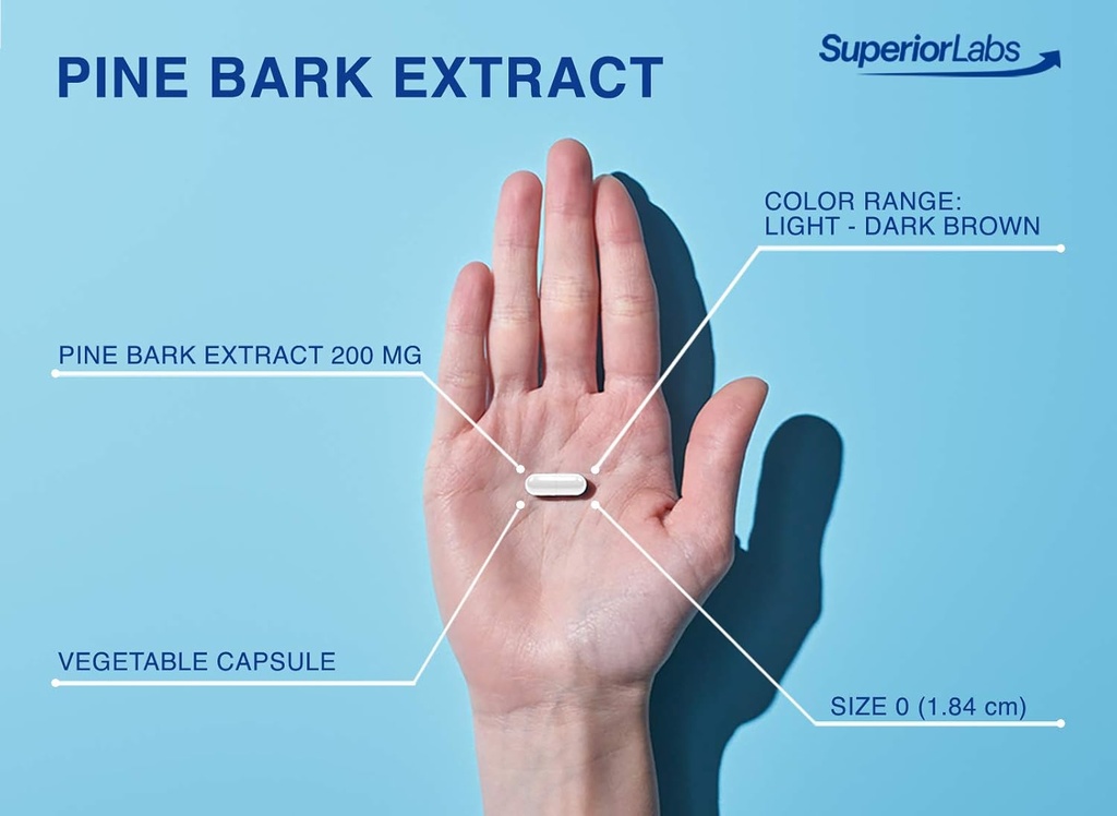 Superior Labs Pine Bark Extract 200 mg – 95% OPC French Maritime Bark, Pure Non-GMO Formula for Healthy Circulation & Blood Flow, Heart, Skin & Hair Support, Free-Radical Defense, 90 Veg Caps 5