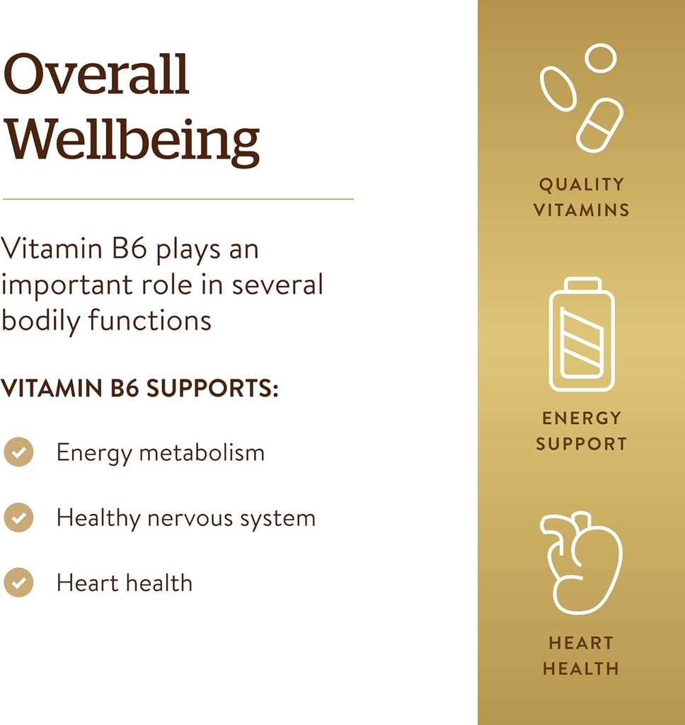 Solgar Vitamin B6 100 mg, 100 Tablets - Supports Energy Metabolism, Heart Health & Healthy Nervous System - B Complex Supplement - Vegan, Gluten Free, Dairy Free, Kosher - 100 Servings 6