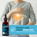 E2H: Liver Support Supplement and Liquid Turmeric Curcumin | Vegan, Non-GMO - 2 Fl Oz Each (4 Fl Oz Total) - Bundle 3