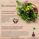 best-botanicals-mullein-leaf-cut-16-oz-2.jpg