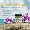 2-pack---plant-based-calcium-gummies-600-4.jpg
