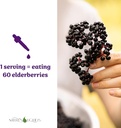 natures-liquids-organic-elderberry-syrup-2.jpg