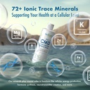 biotrace-dead-sea-trace-mineral-drops-72-3.jpg