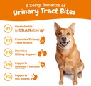 zesty-paws-cranberry-supplement-for-dogs-2.jpg