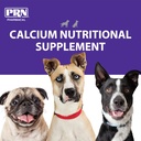 prn-pharmacal-calsorb---calcium-nutritio-3.jpg