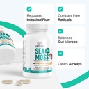 organic-irish-sea-moss-pills---wildcraft-6.jpg