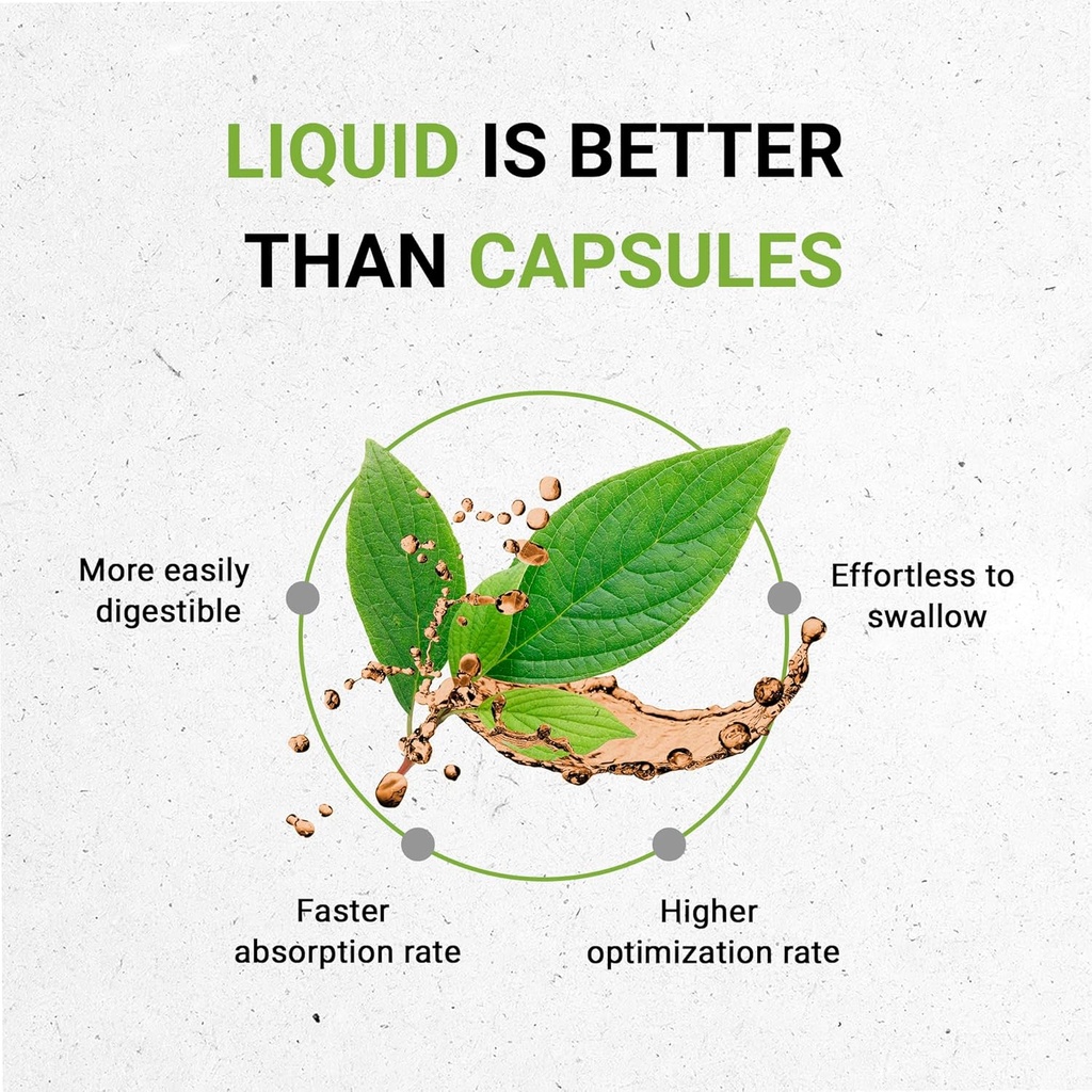 alfalfa-tincture-alcohol-free-liquid-ext-2.jpg