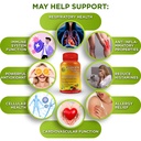 vegan-bone-immune-hormonal-support-trio--3.jpg