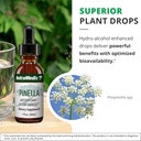 nutramedix-pinella---liquid-anise-drops--5.jpg