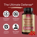 all-in-one-metabolism-bundle---morosil-b-4.jpg