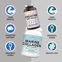 amandean-premium-creatine-hcl-marine-col-2.jpg