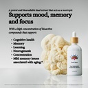 rainbo-brain-health-bundle-lion-s-mane-m-3.jpg