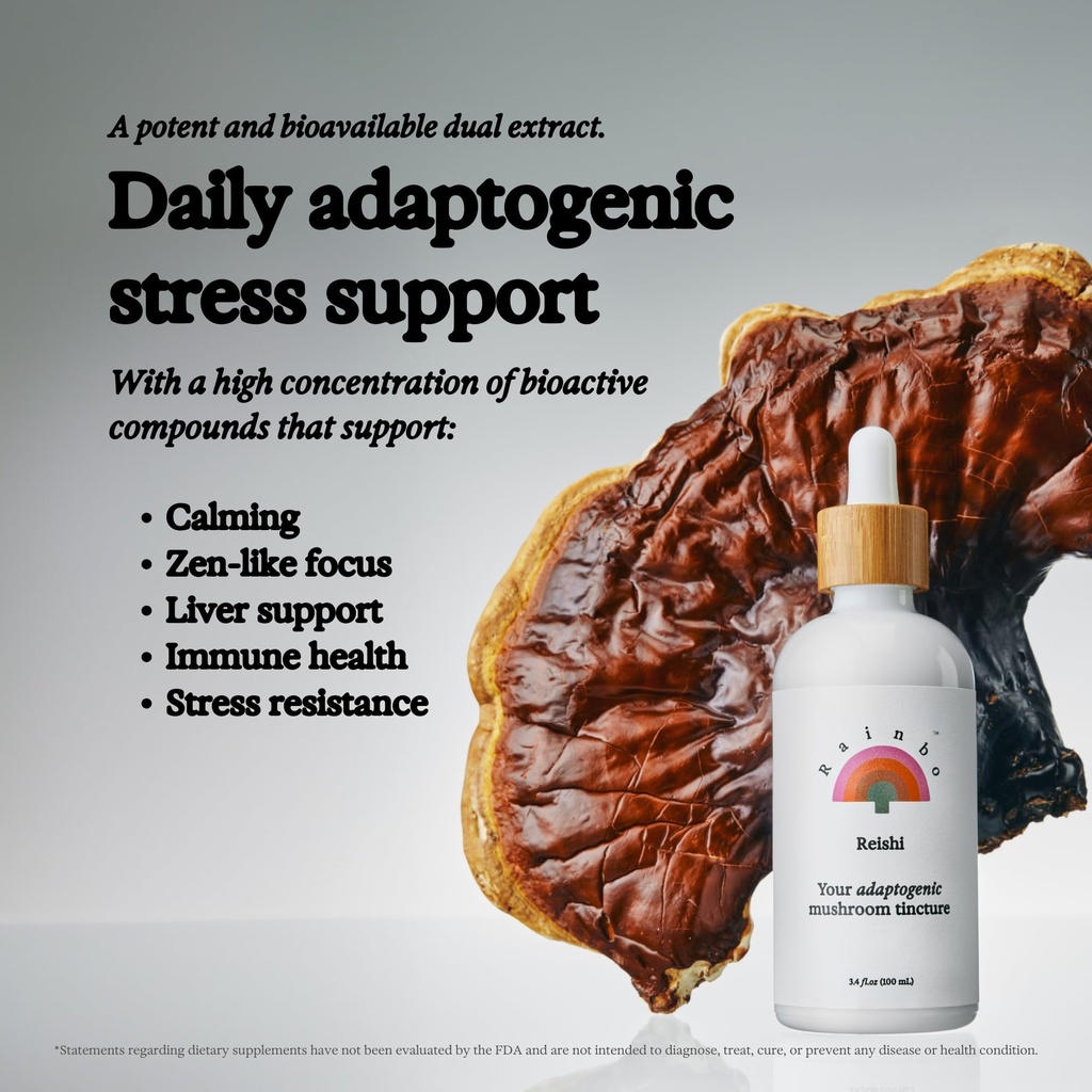 rainbo-brain-health-bundle-lion-s-mane-m-4.jpg
