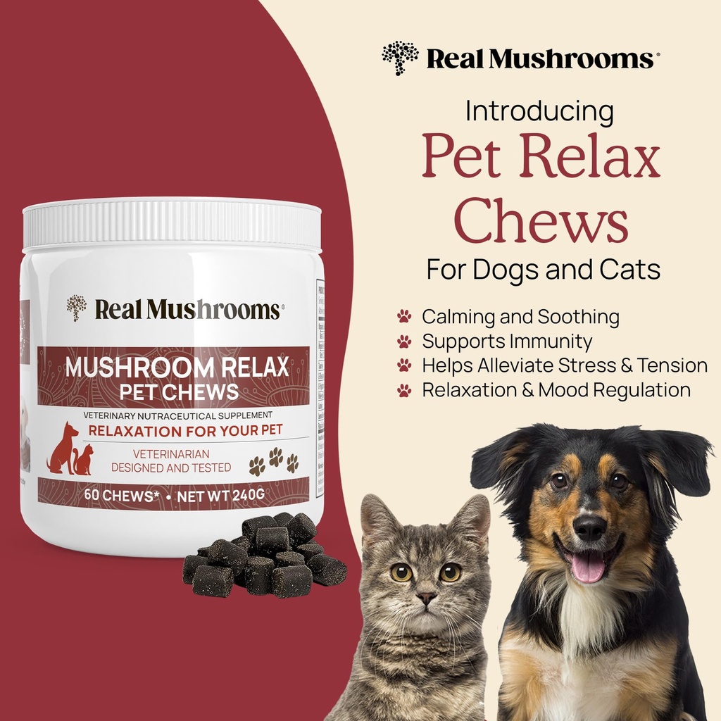 real-mushrooms-lion-s-mane-for-humans-12-6.jpg