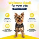 liver-health-supplement-for-small-dogs---6.jpg