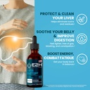 liver-cleanse-detox-repair-herbal-liver--2.jpg