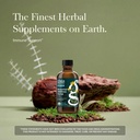 gaia-herbs-bronchial-wellness-syrup-kids-2.jpg