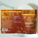 primal-creatine-powder-chocolate-protein-4.jpg