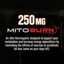 jacked-factory-burn-xt-max-high-performa-2.jpg