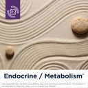 designs-for-health-metabolic-synergy-mul-4.jpg
