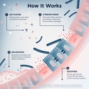 designs-for-health-anaerostipes-probioti-3.jpg