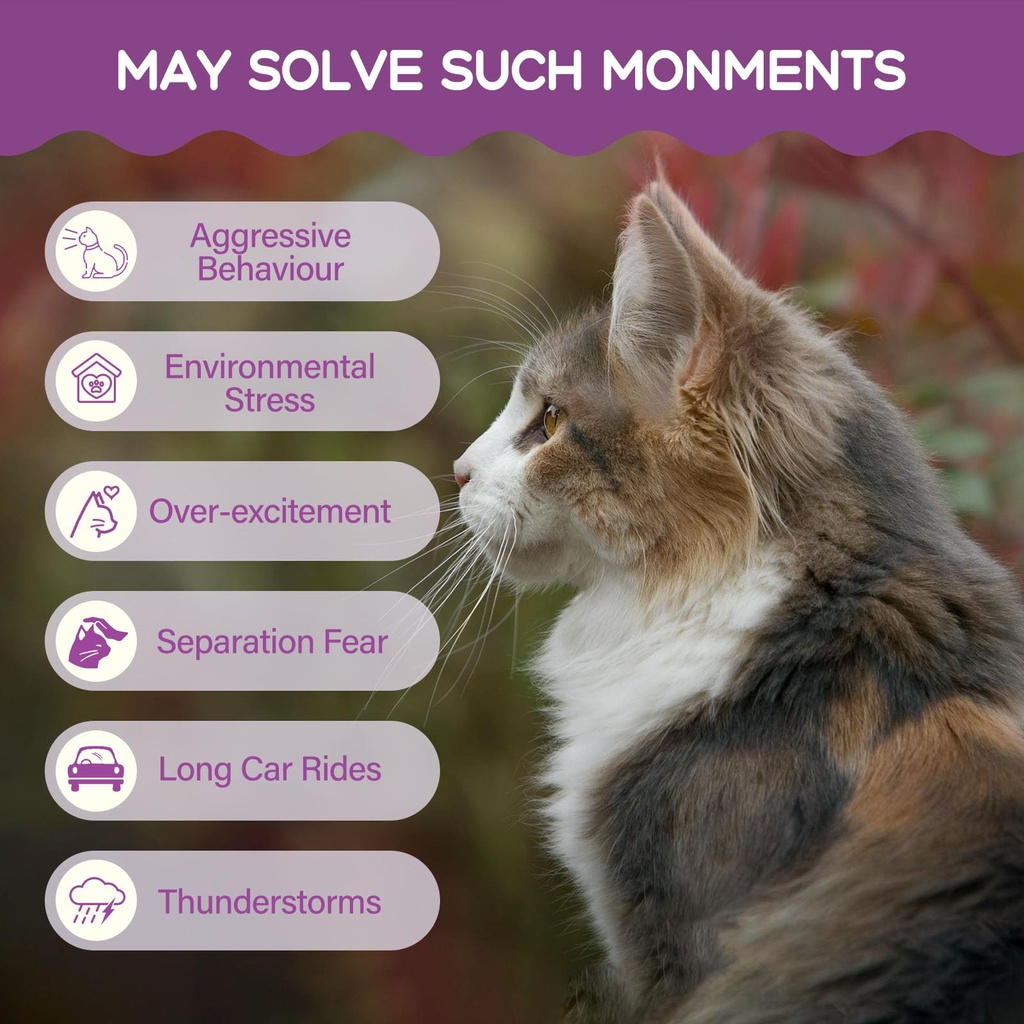 cat-melatonin-natural-calming-drops-supp-6.jpg
