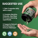 sea-tox-organic-spirulina-and-chlorella--6.jpg