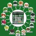 sea-tox-organic-spirulina-and-chlorella--4.jpg