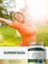 carlyle-organic-spirulina-powder-2-2-lbs-6.jpg