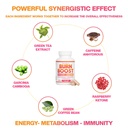 skinnyboost-burn-boost-capsules-60-ct-na-4.jpg