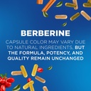 nutrivein-premium-berberine-1200-mg-with-3.jpg