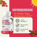 nature-s-fusions-nutri-dihydroberberine--4.jpg
